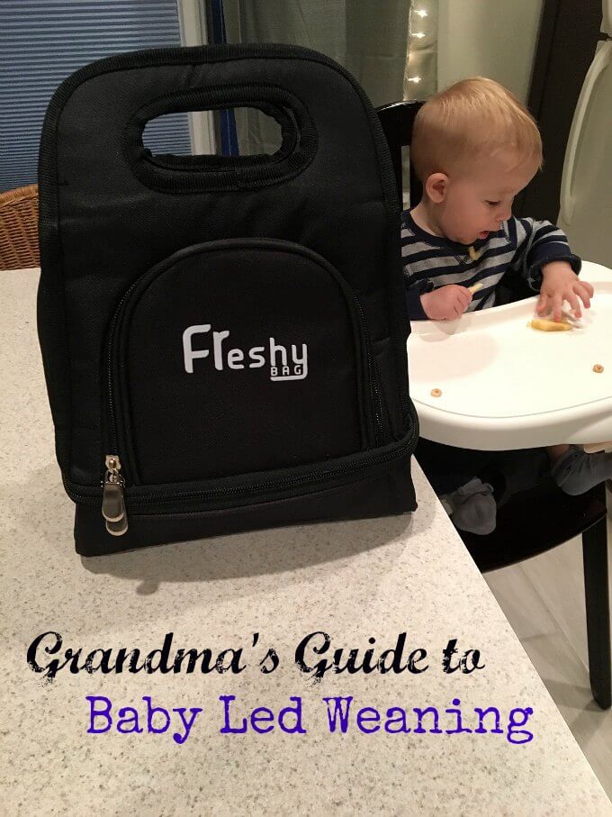 Grandma’s Guide to Baby Led Weaning