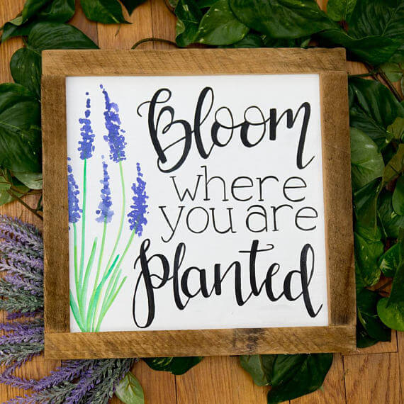 bloom where you are planted sign