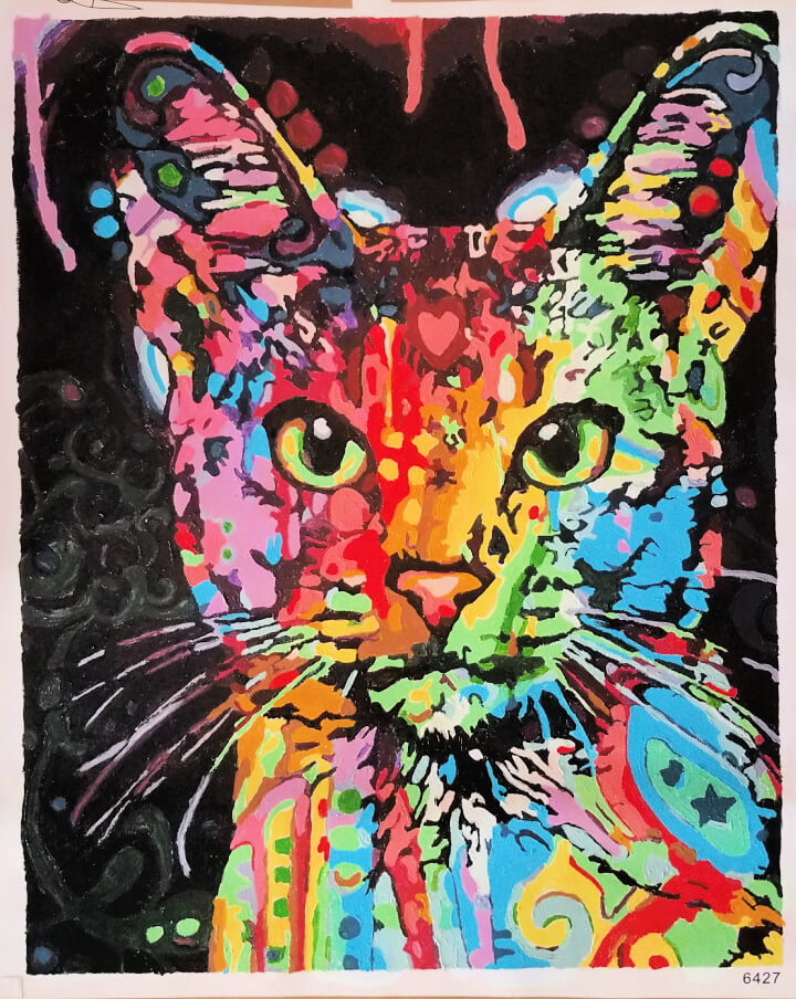adult craft kit paint by numbers abstract cat completed