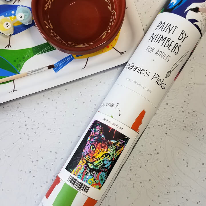 adult craft kit paint by numbers mailing tube
